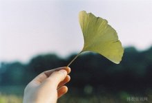 Ļ